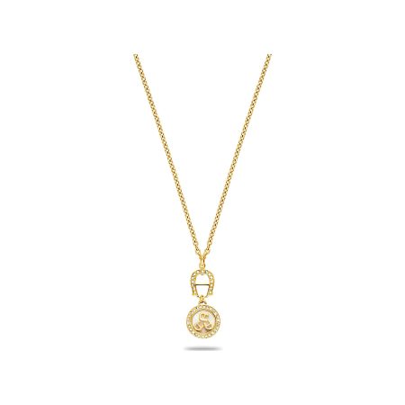 Women Gold Coloured Aigner Classic Necklace With A Logo And Gems Jewelry